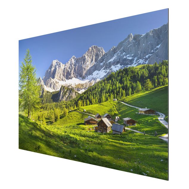 Mountain wall art Styria Alpine Meadow