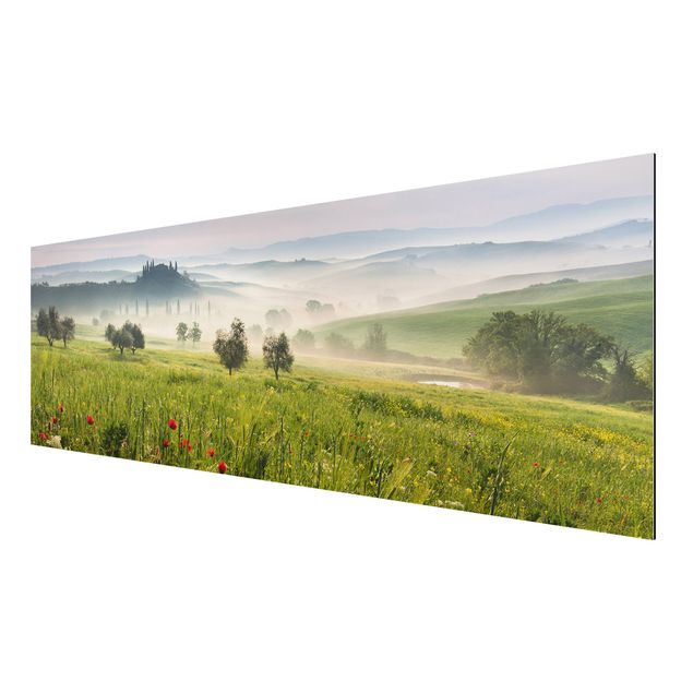 Poppies wall art Tuscan Spring