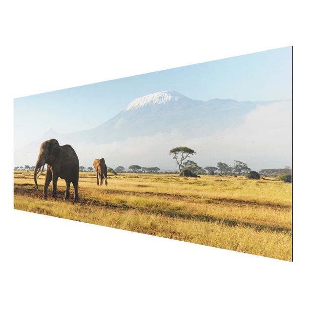 Landscape canvas prints Elephants In Front Of The Kilimanjaro In Kenya