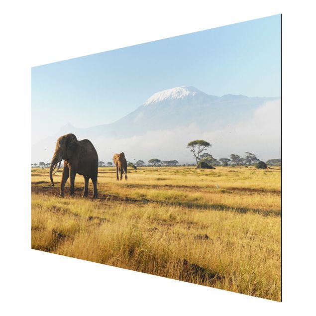 Landscape canvas prints Elephants In Front Of The Kilimanjaro In Kenya