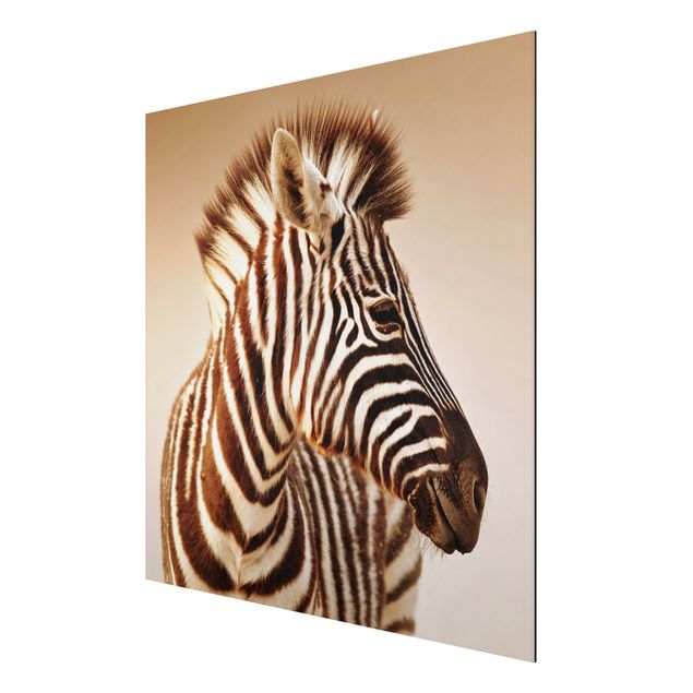 Animal wall art Zebra Baby Portrait
