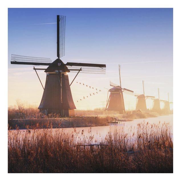 Prints modern Windmills Of Kinderdijk