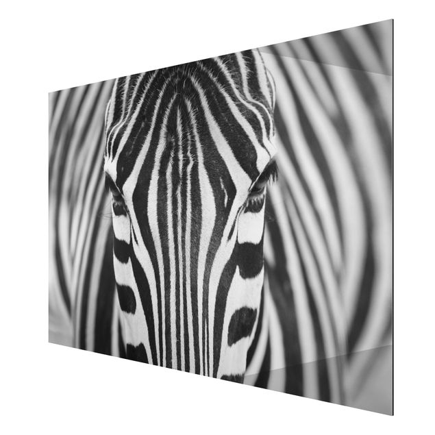 Prints animals Zebra Look