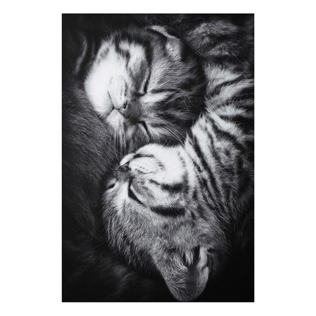Cat prints Two Kittens