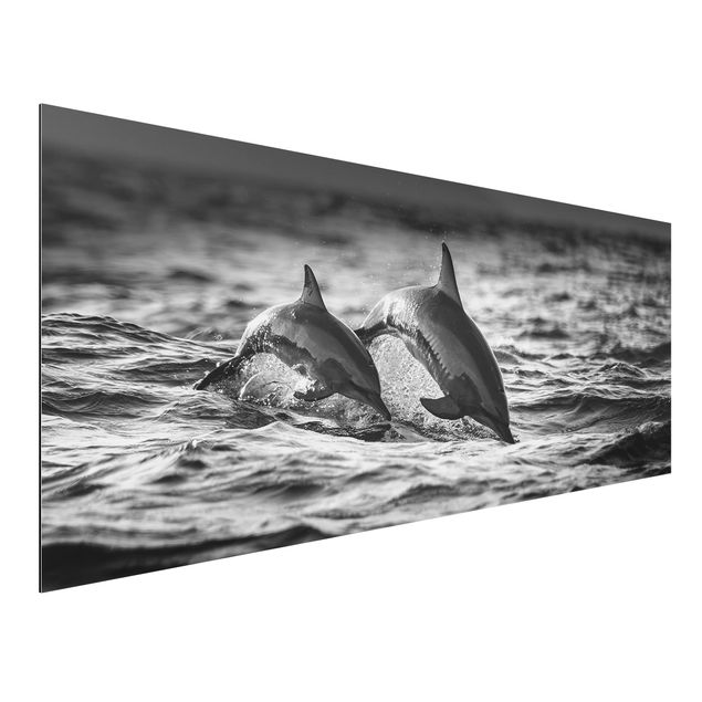 Prints fishes Two Jumping Dolphins