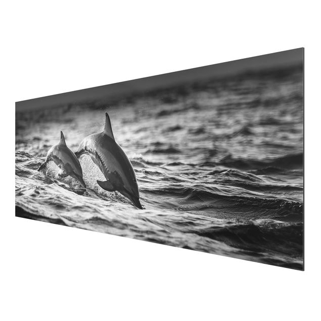 Prints animals Two Jumping Dolphins