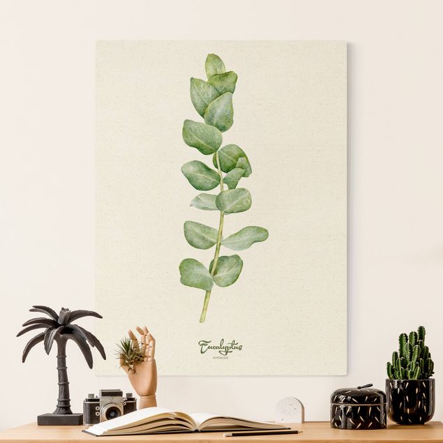 Kitchen Watercolour Botany Eucalyptus