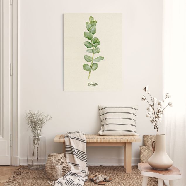 Prints floral Watercolour Botany Eucalyptus