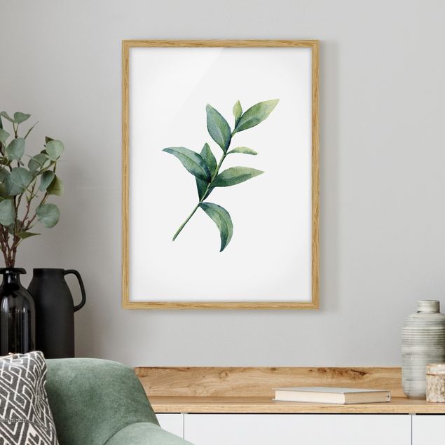 Prints floral Waterclolour Eucalyptus ll