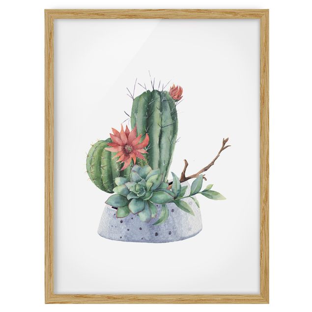 Flowers framed Watercolour Cacti Illustration