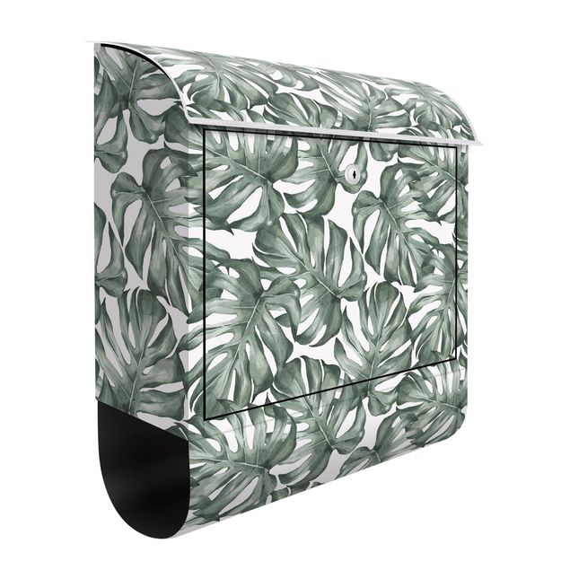 Letterboxes flower Watercolour Monstera Leaves In Green