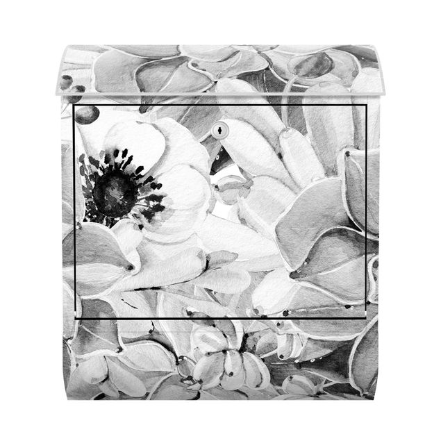 Letterboxes black and white Watercolour Succulent With Flower In Black And White