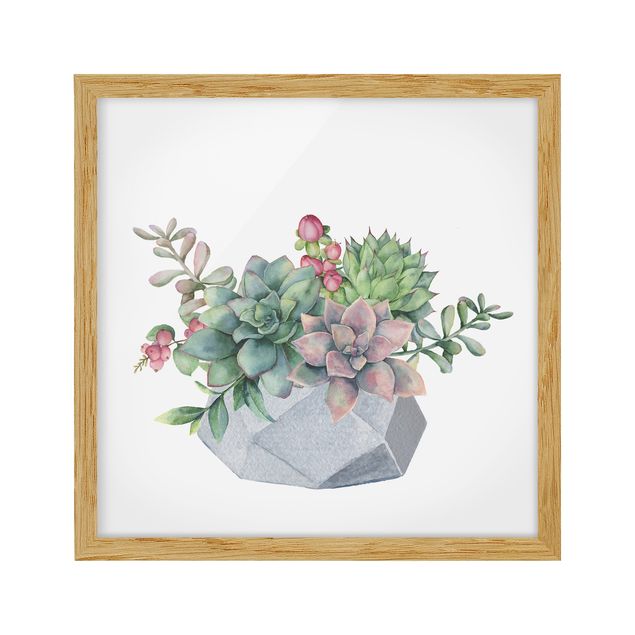Flower pictures framed Watercolour Succulents Illustration
