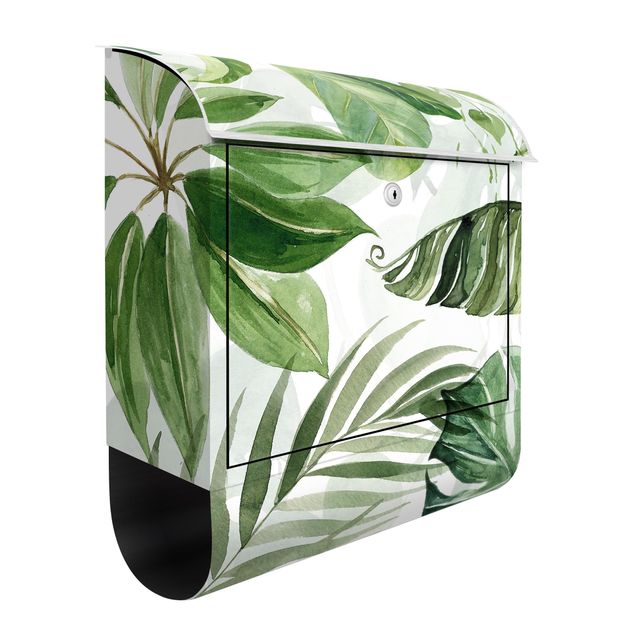 Letterboxes flower Watercolour Tropical Leaves And Tendrils