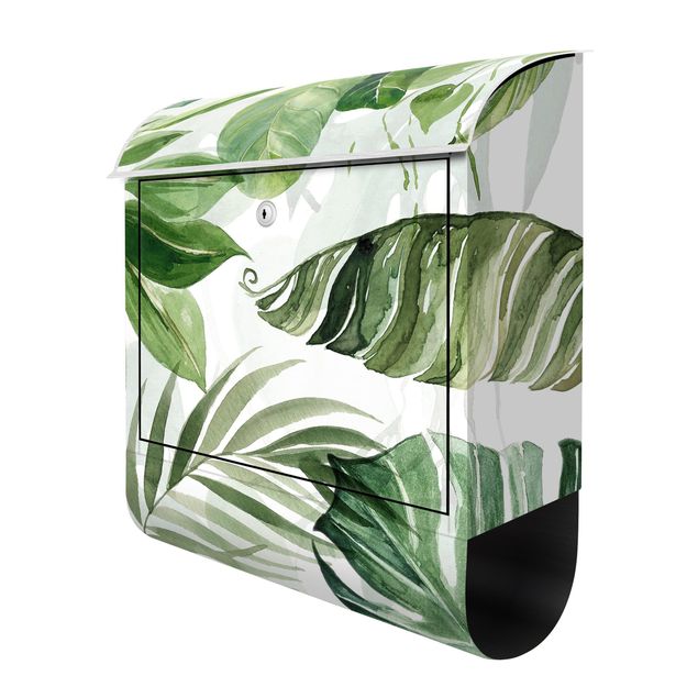 Letterboxes Watercolour Tropical Leaves And Tendrils