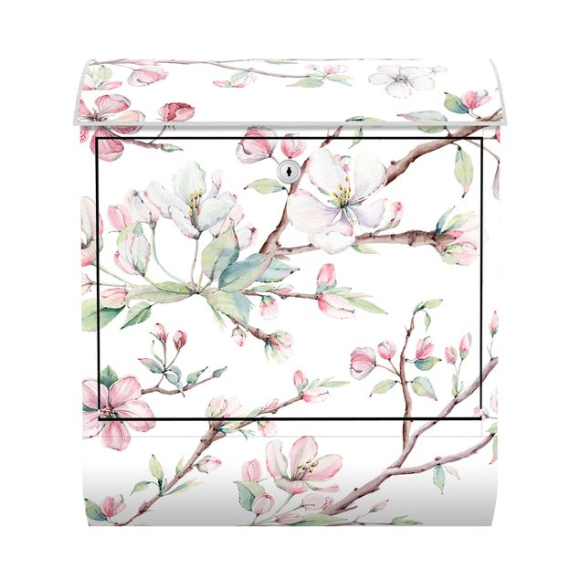 Letterboxes pink Watercolour Branches Of Apple Blossom In Light Pink And White