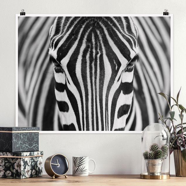 Prints zebra Zebra Look