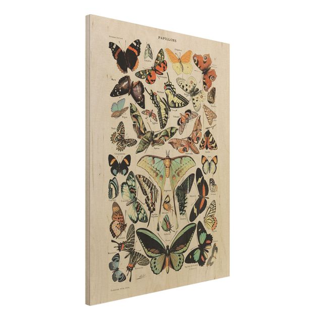 Kitchen Vintage Board Butterflies And Moths