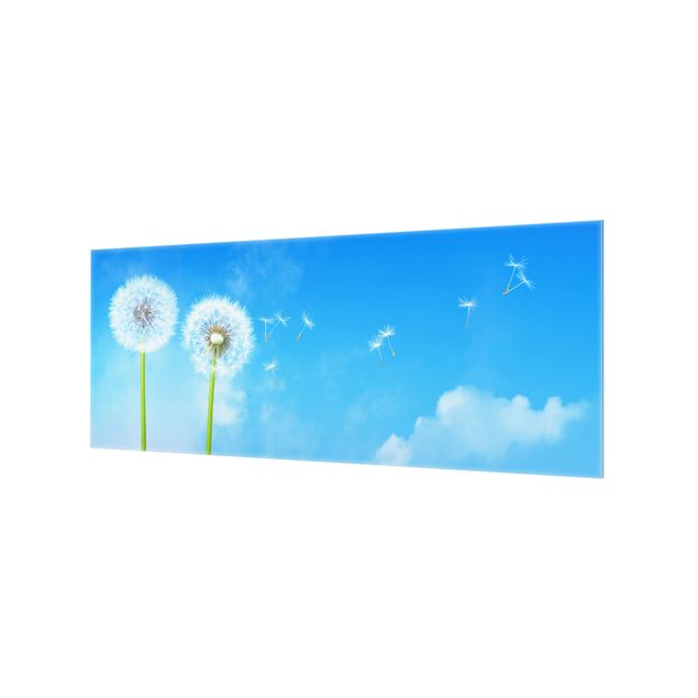 Glass Splashback - Flying Seeds - Panoramic