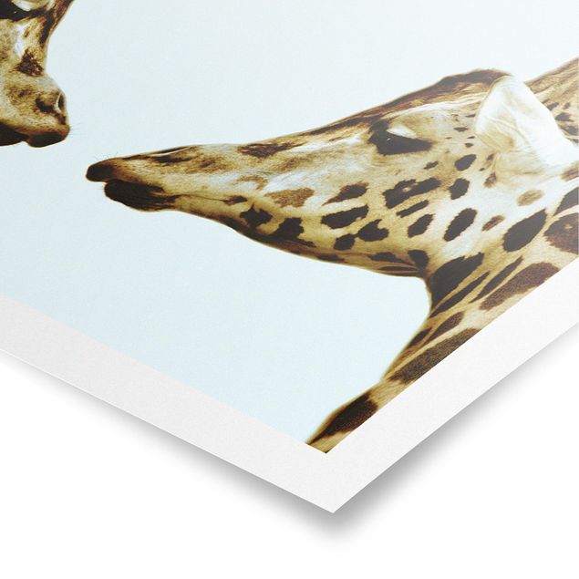 Posters animals Giraffes In Love