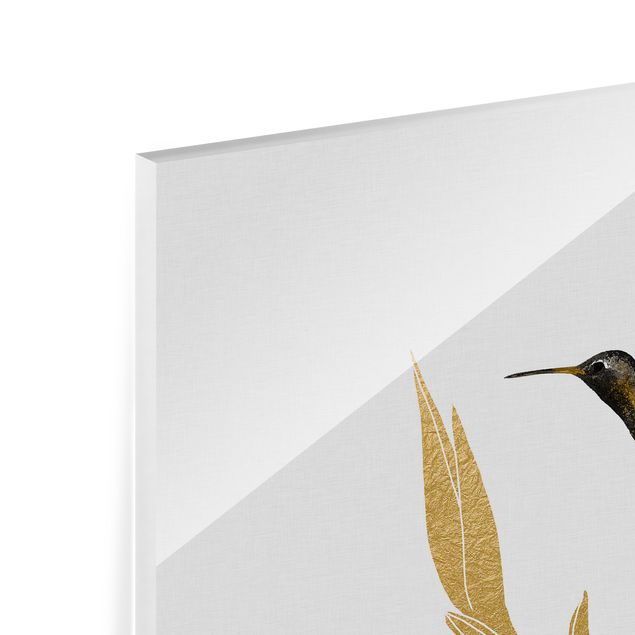 Splashback - Hummingbird And Tropical Golden Blossom II - Square 1:1