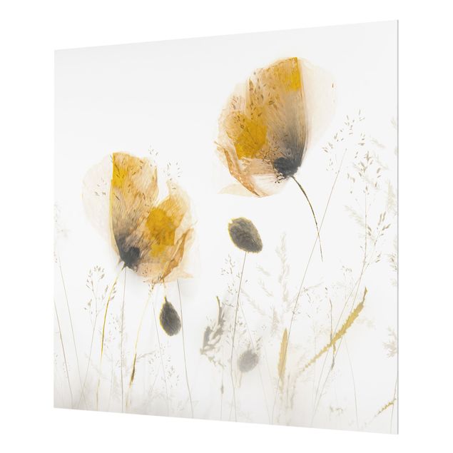 Splashback - Poppy Flowers And Delicate Grasses In Soft Fog  - Square 1:1