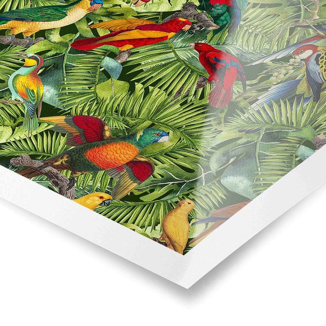 Prints multicoloured Colourful Collage - Parrots In The Jungle