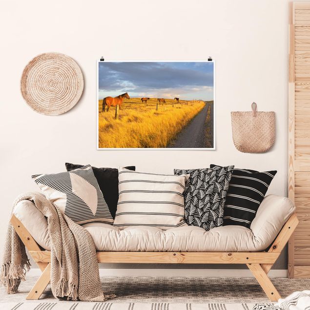 Landscape wall art Field Road And Horse In Evening Sun