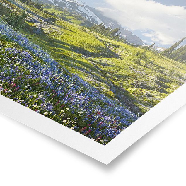 Floral canvas Mountain Meadow With Blue Flowers in Front of Mt. Rainier
