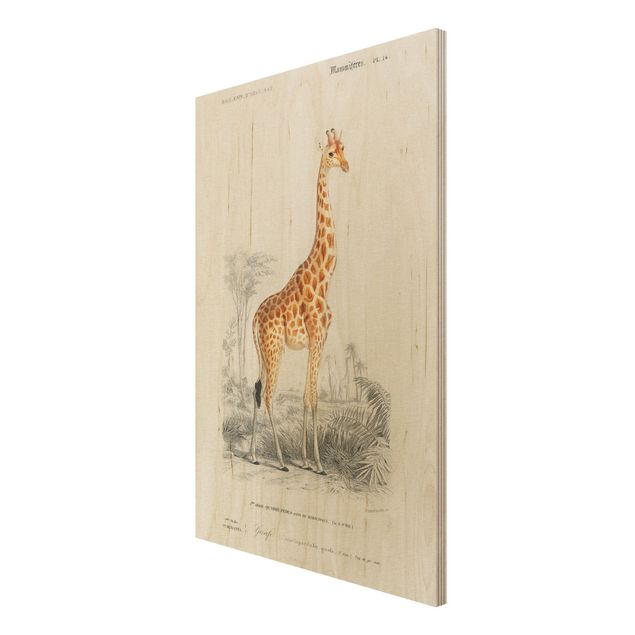 Prints Vintage Board Giraffe