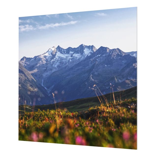 Splashback - Flowering Meadow In The Mountains - Square 1:1