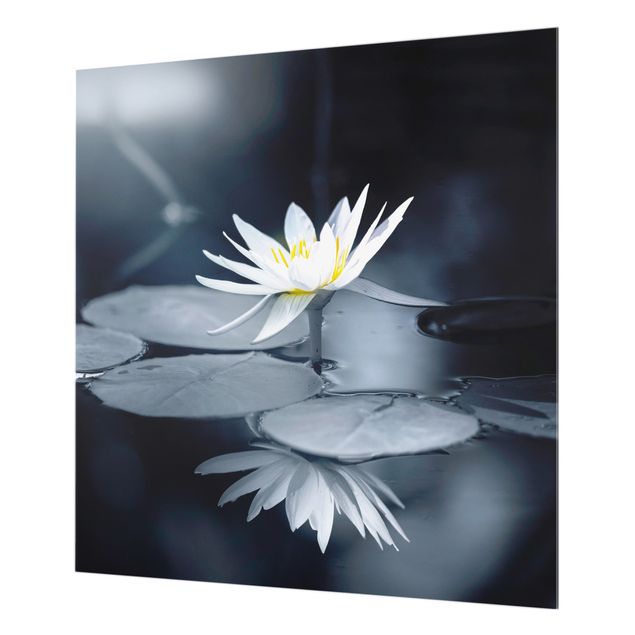 Splashback - Lotus Reflection In The Water - Square 1:1