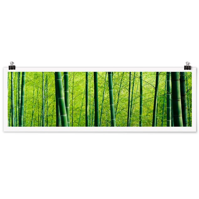 Bamboo framed art Bamboo Forest