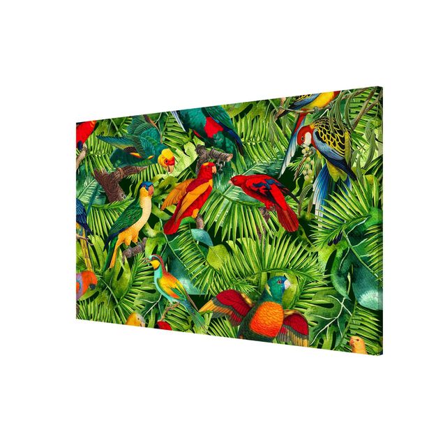 Magnet boards flower Colourful Collage - Parrots In The Jungle
