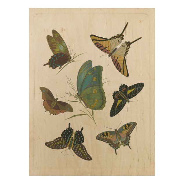 Vintage wood prints Vintage Illustration Exotic Butterflies