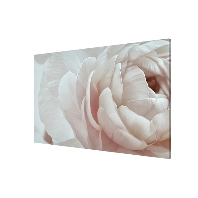 Floral canvas White Flower In An Ocean Of Flowers