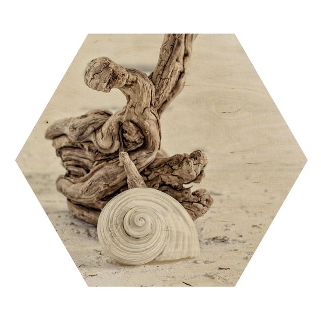 Wood prints landscape White Snail Shell And Burl