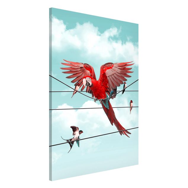 Magnet boards animals Sky With Birds