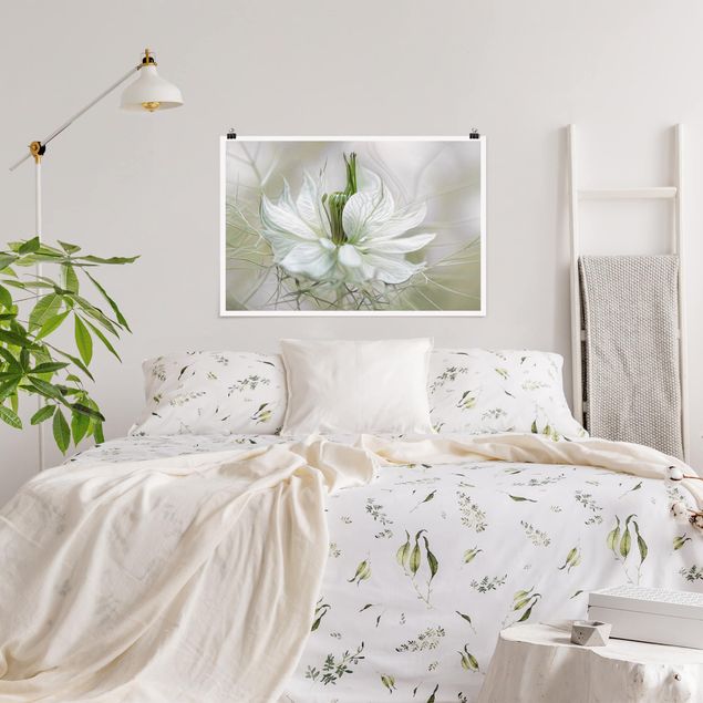 Flower print White Nigella