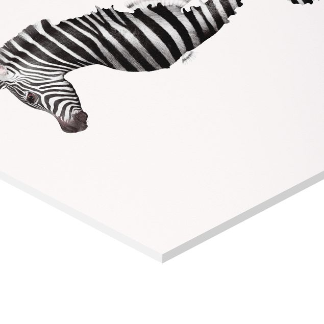Forex prints Seahorse With Zebra Stripes