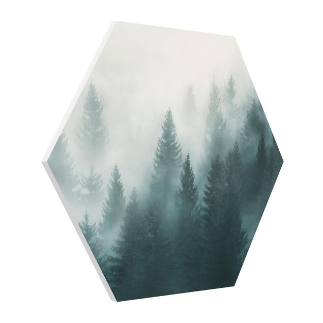 Contemporary art prints Coniferous Forest In Fog