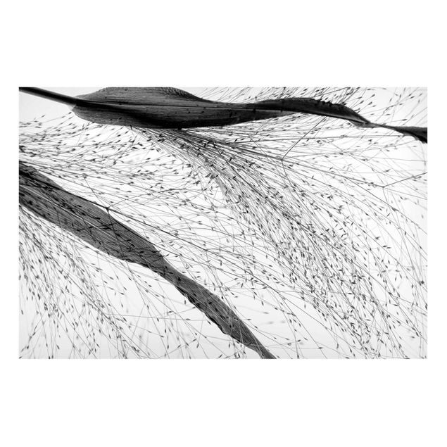 Magnet boards flower Delicate Reed With Subtle Buds Black And White