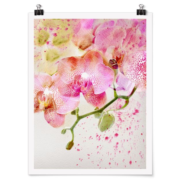 Prints flower Watercolour Flowers Orchids
