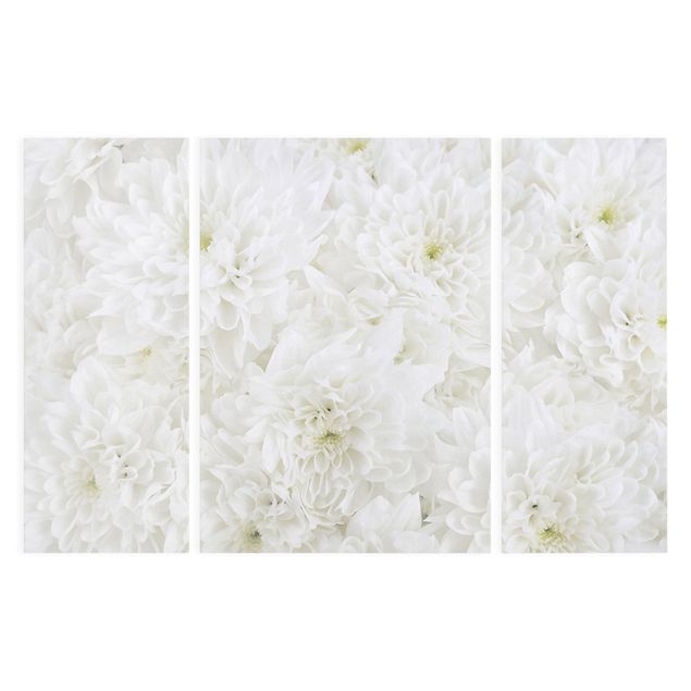 Prints Dahlias Sea Of Flowers White