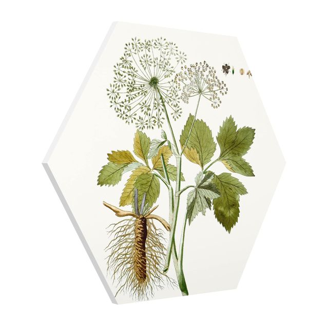 Floral picture Wild Herbs Board IV