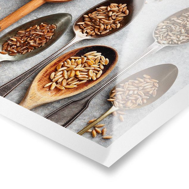 Poster print Cereal Grains Spoon