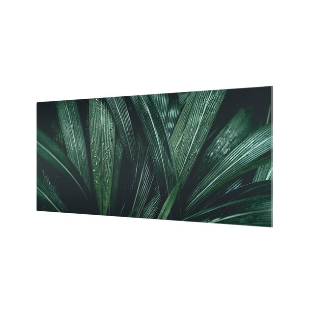 Glass Splashback - Green Palm Leaves - Landscape 1:2