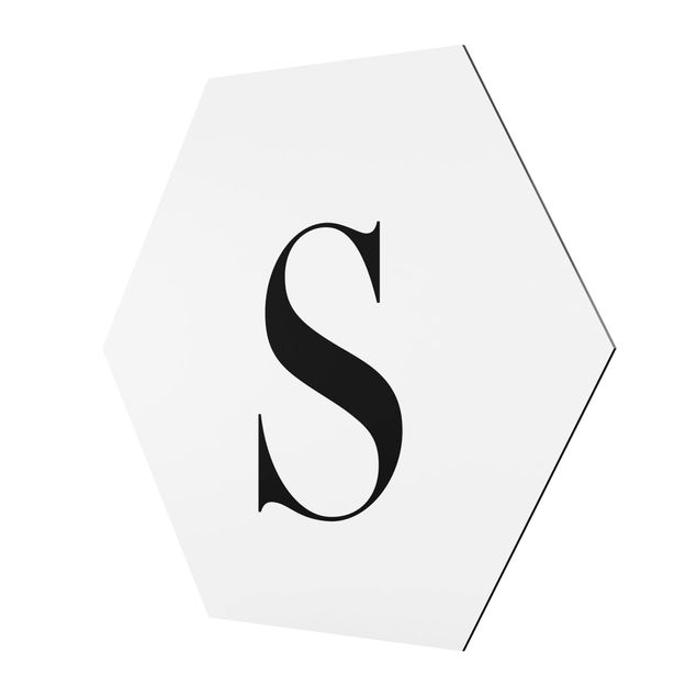 Hexagonal prints Letter Serif White S
