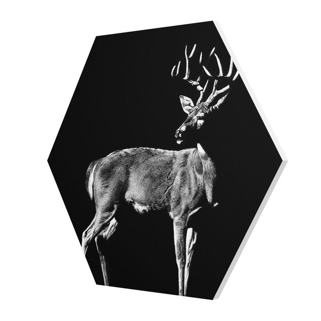 Prints black and white Deer In The Dark