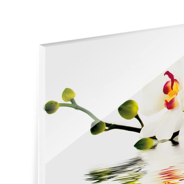 Glass Splashback - Vivid Orchid Waters - Landscape 1:2
